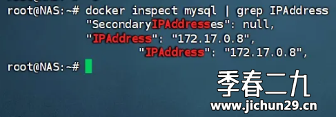 飞牛 fnos 使用docker部署WordPress博客教程